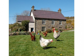 Nantgwynfaen Organic Farm Wales